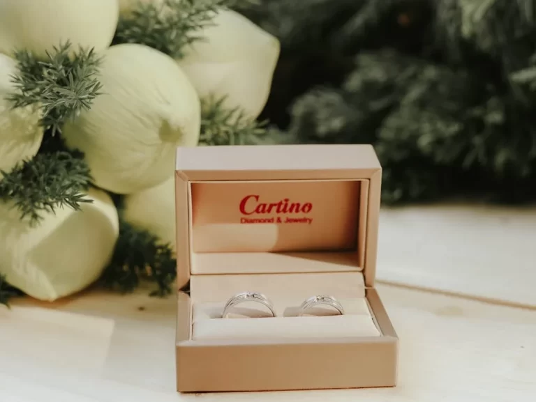 Jewellery & Rings