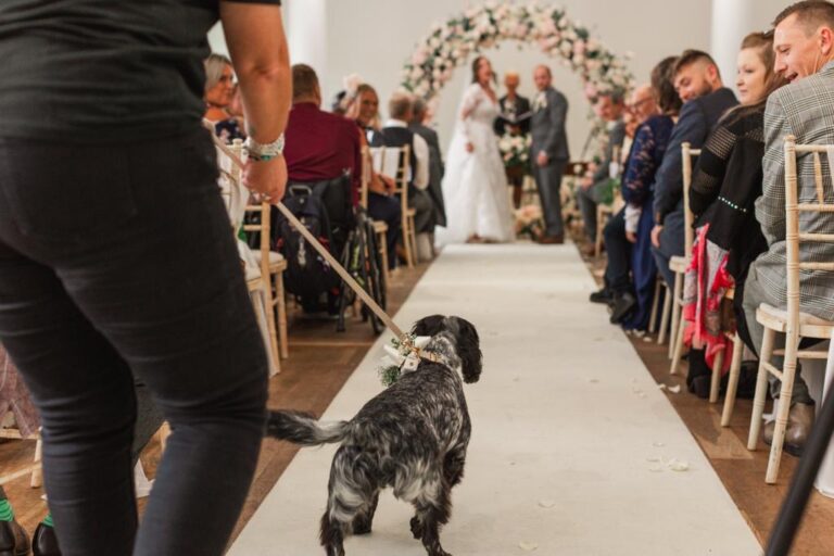 6f918d8b fabe 415d bba1 9f64354bae5a 768x512