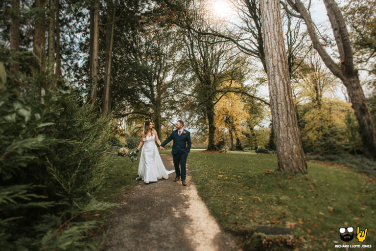 Fairyhill Wedding 1 768x513