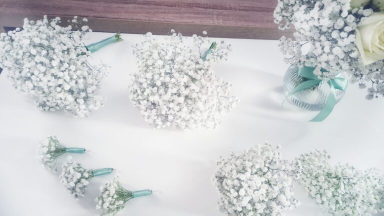 IMG 20231212 WA0014 768x432