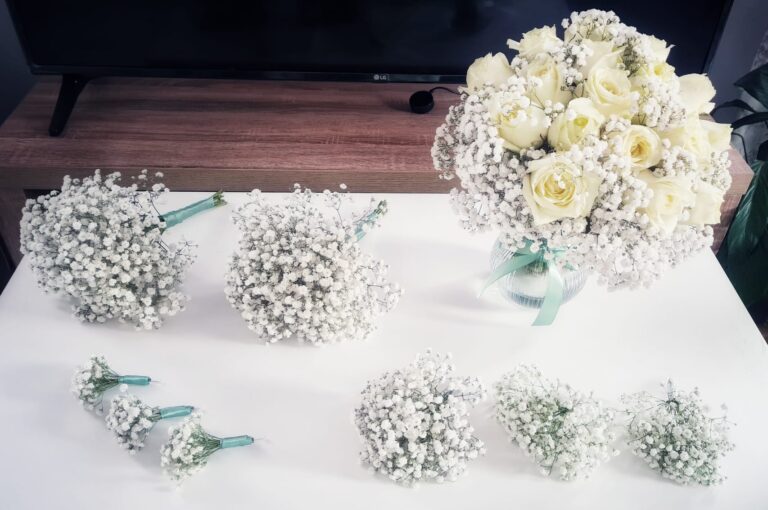 IMG 20231212 WA0015 768x510