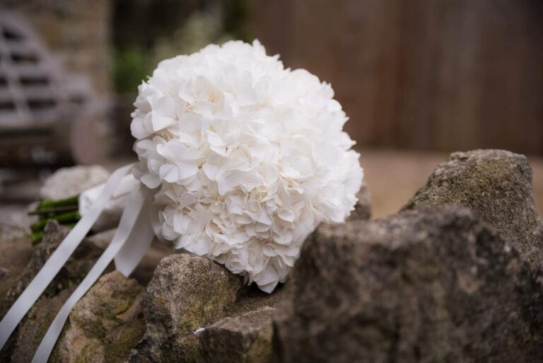 inbound1125100584218221073 768x513