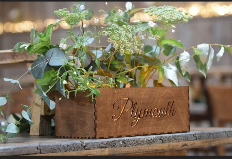 7feed4d6 0dc8 4855 b1e1 a2d9ea26f508 768x528