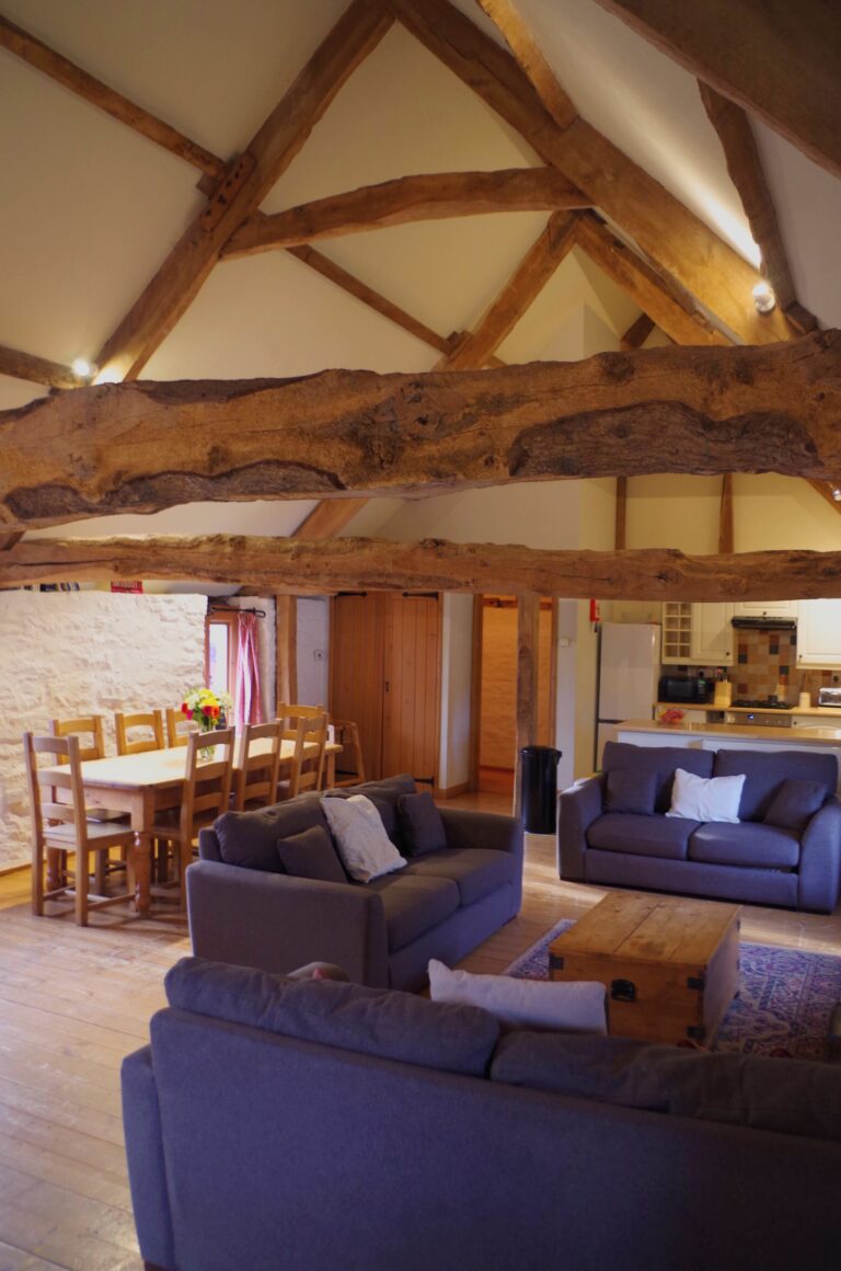 IMGP9613 Original 768x1160