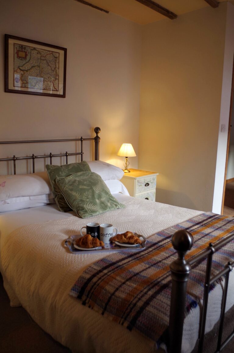 IMGP9646 Original 768x1160