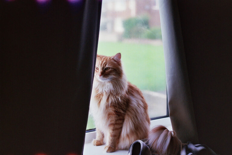 inbound7912310326865576704 768x513