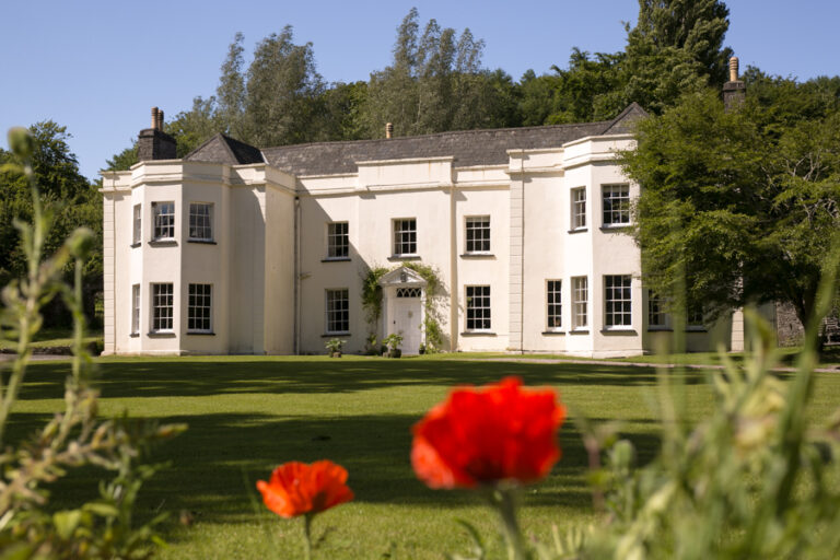 homepage option 1 house frontal 768x512