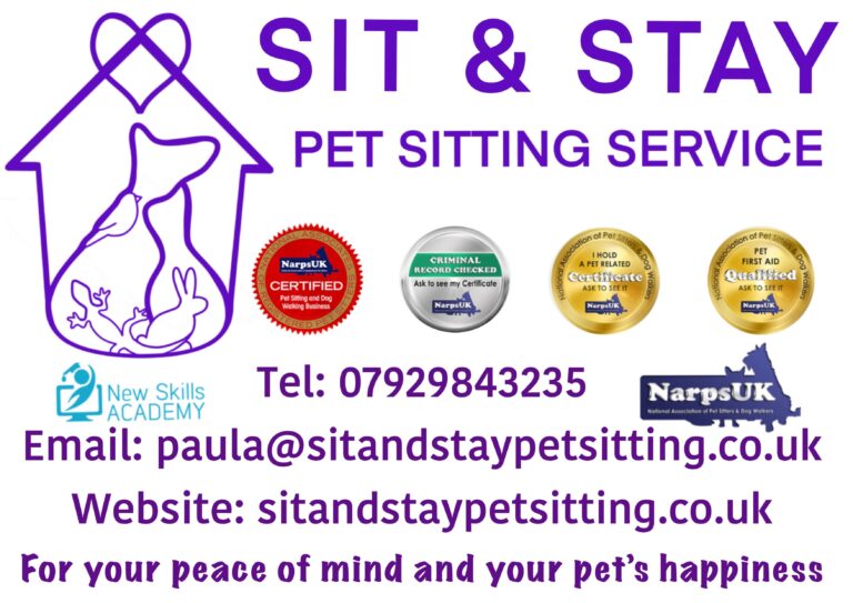 inbound3024437064616866047 768x543