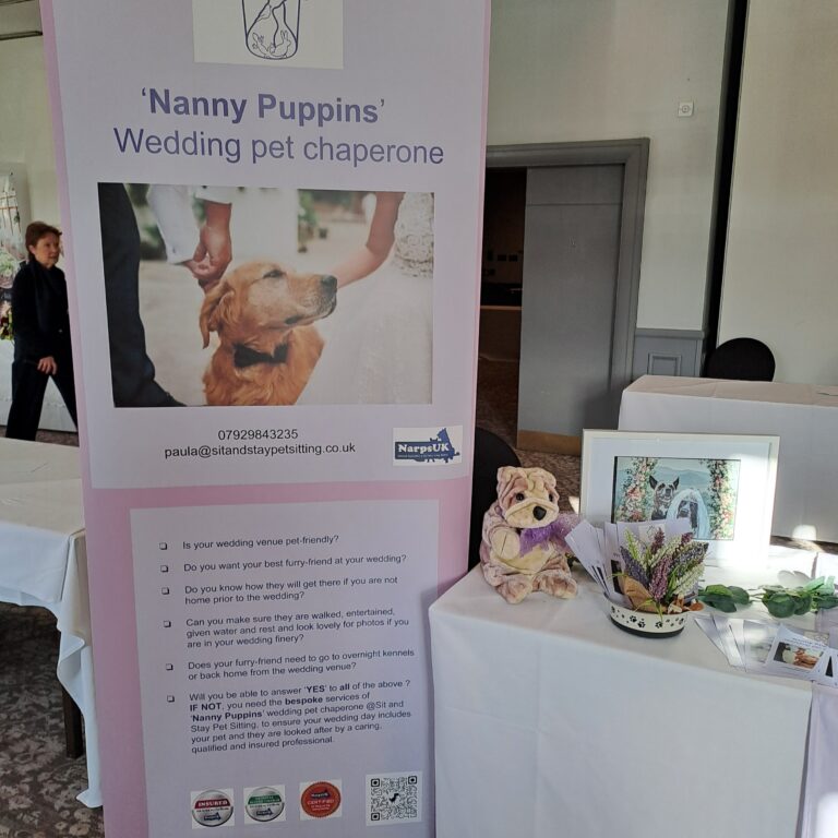 inbound3652502857539223772 768x768