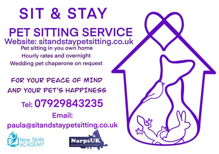 inbound4306409945355514450 768x543