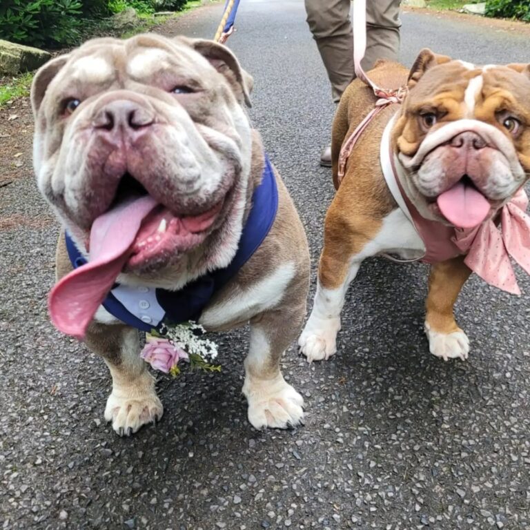 449718284 455929234025617 4354063137907631863 n 768x768