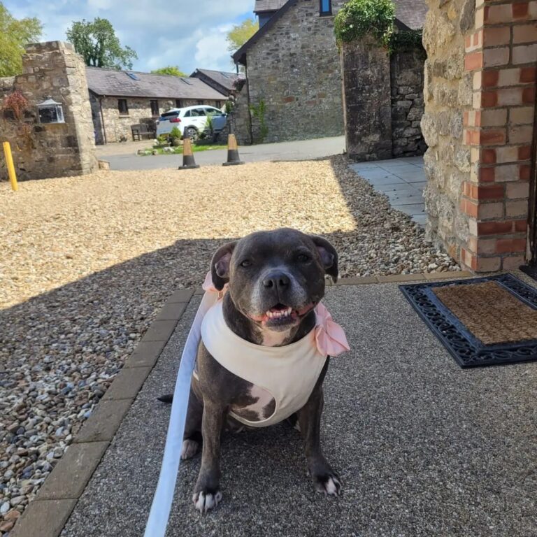 450859950 452257817726092 5852076395468239407 n 768x768