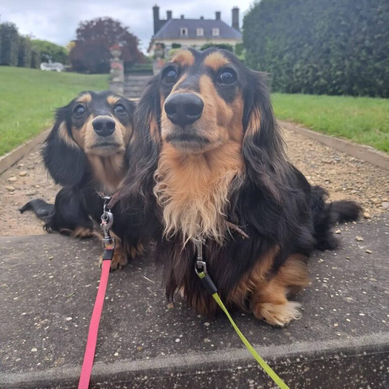 Wedding Gileston Manor 1 768x768