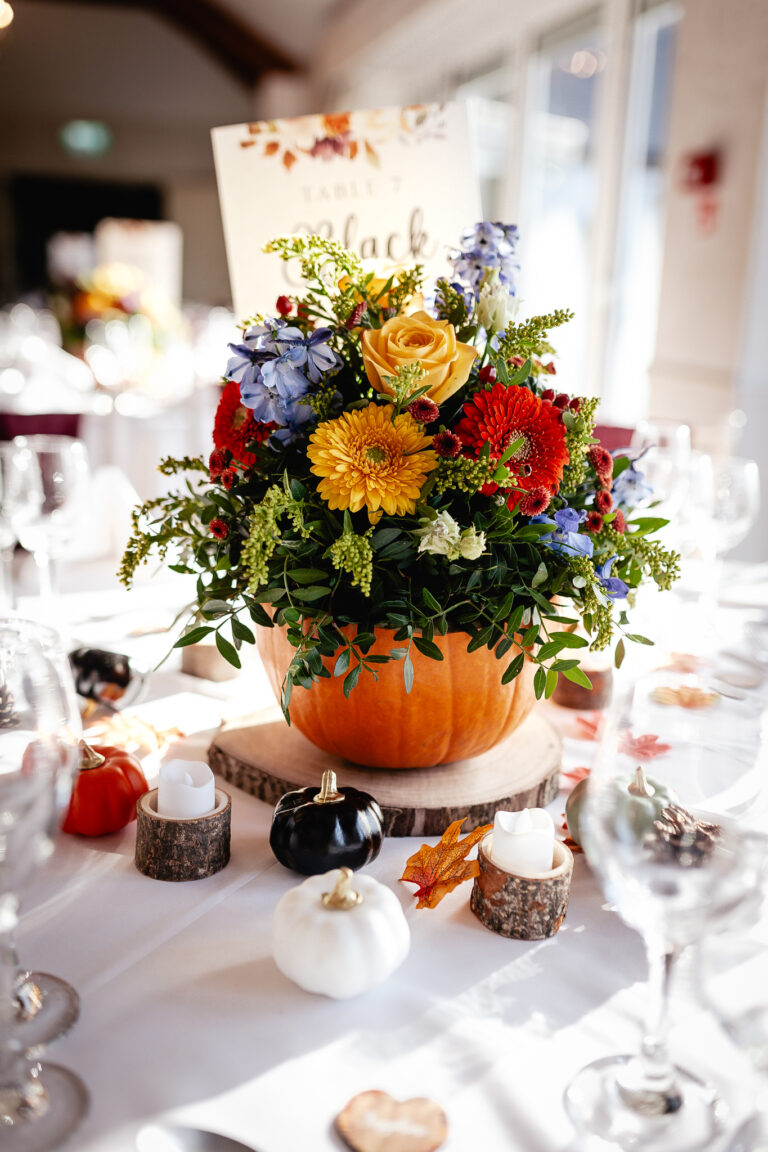 20241026 6H8B2629 768x1152