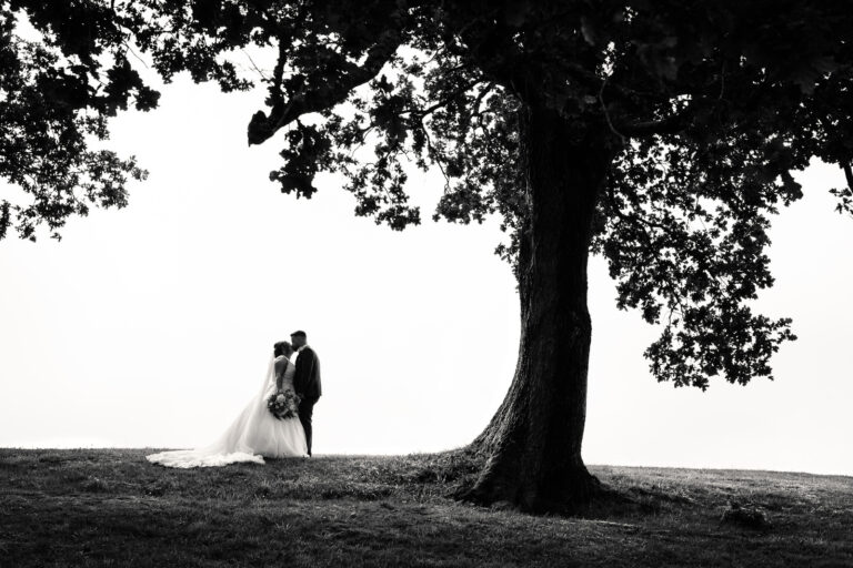 Gallery Highlights 029 768x512