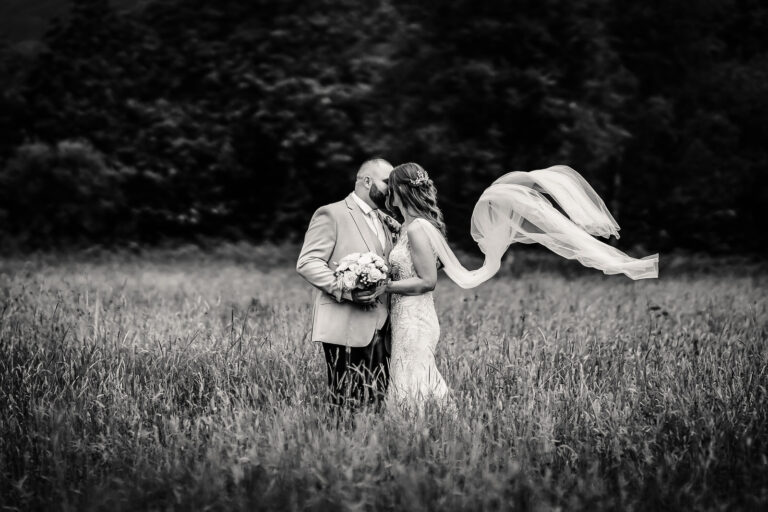 Gallery Highlights 043 768x512