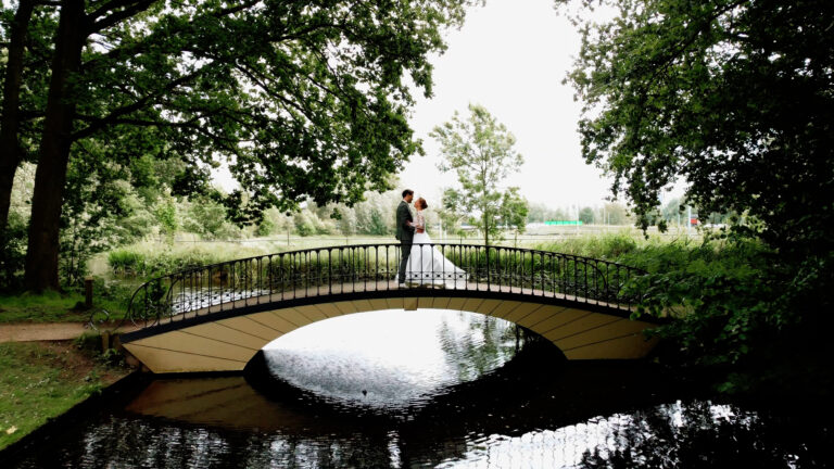 Sequence 01.00 08 42 16.Still002 768x432