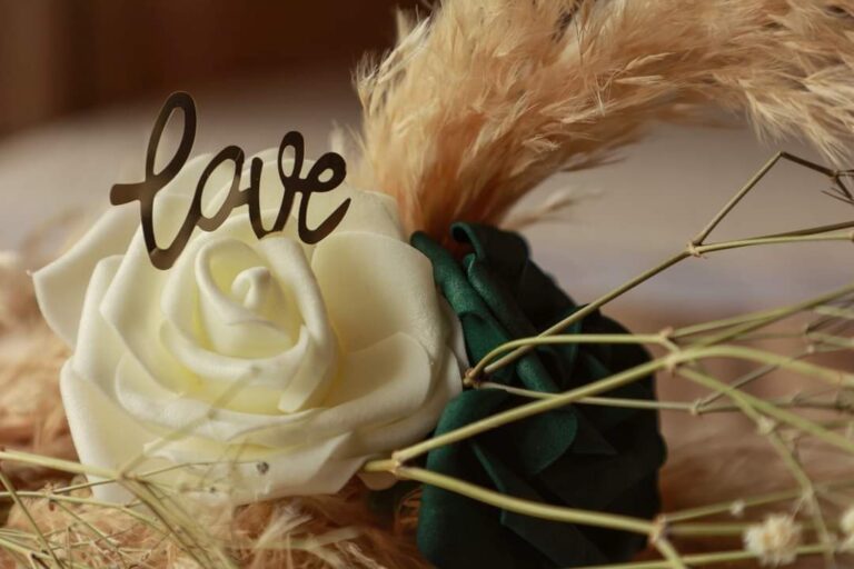 inbound5898523412206222351 768x512