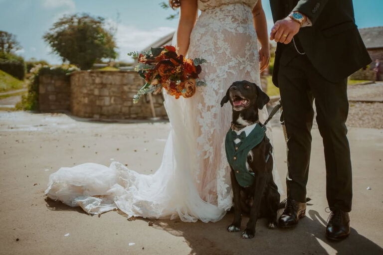 DAE94359 9707 4AC6 9DFC B969AC5EF439 768x512