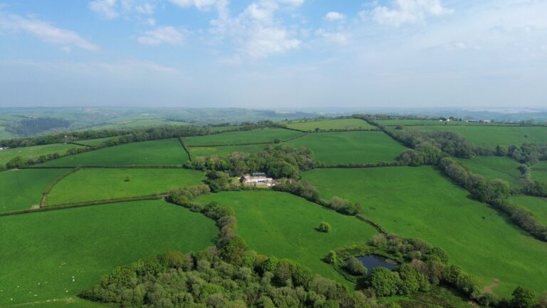 1ad4b7fb 2c23 4da4 a93f fb036f0cea45 768x432