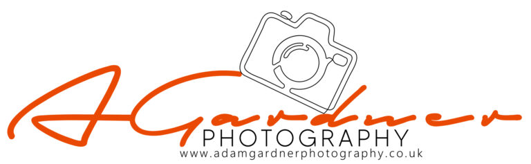 PNG BLACK ORANGE with web SMALL Copy 768x237